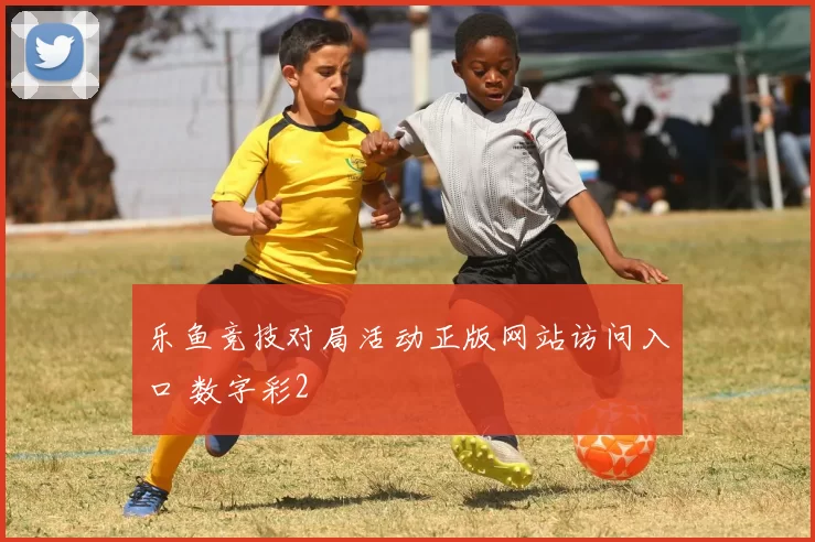 乐鱼竞技对局活动正版网站访问入口 数字彩2