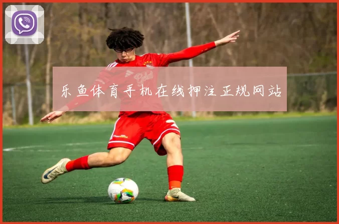 乐鱼体育手机在线押注正规网站