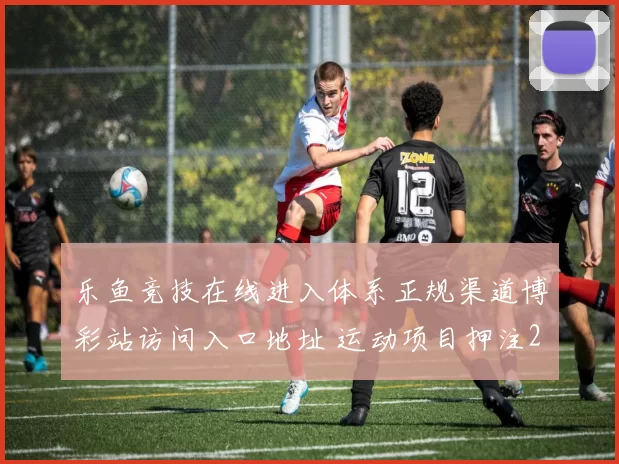 乐鱼竞技在线进入体系正规渠道博彩站访问入口地址 运动项目押注2